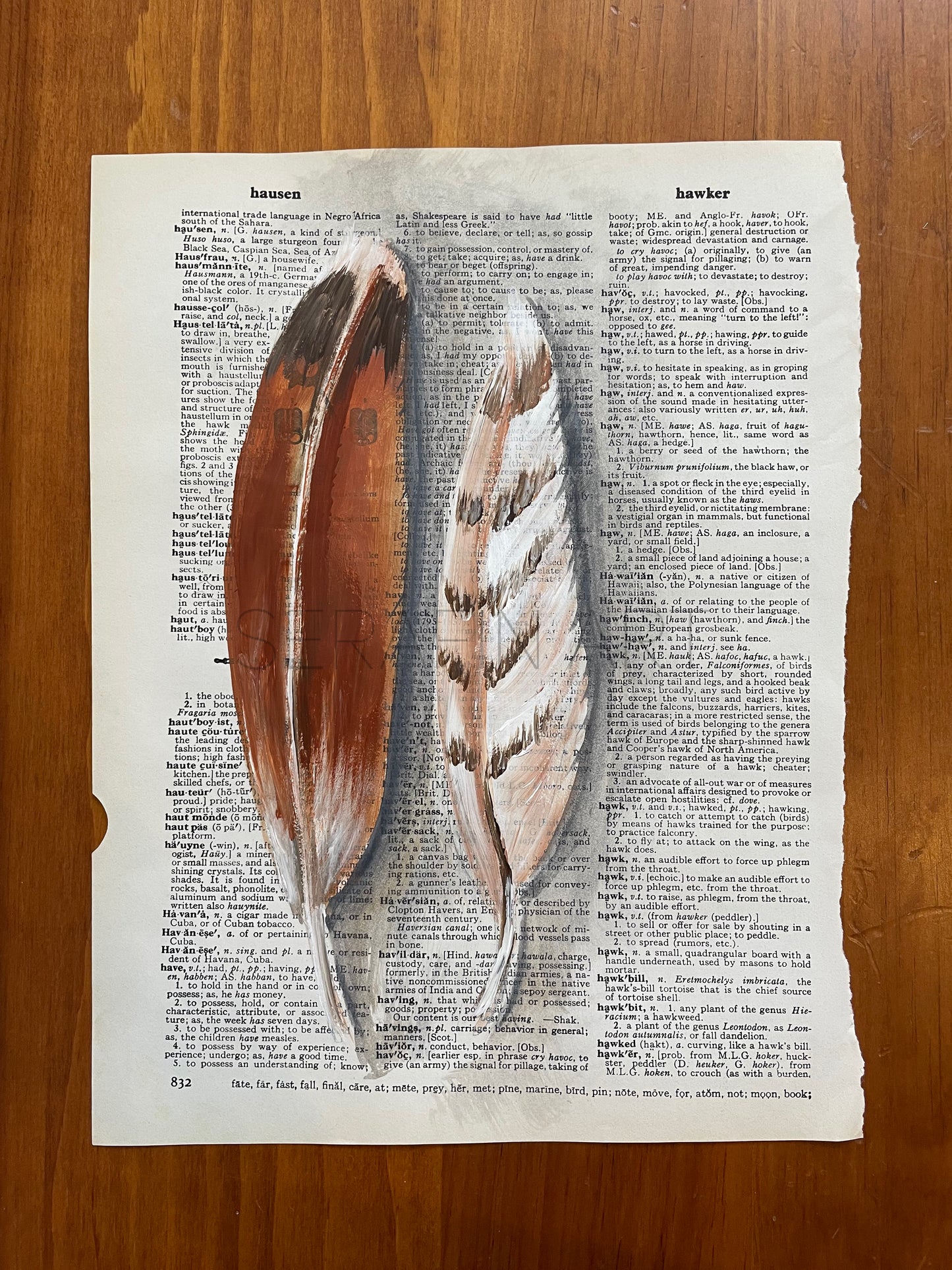 Hawk Feathers